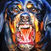 Angry Rottweiler Dog Paint By Number