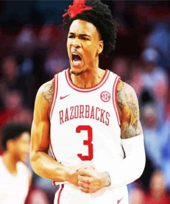 Arkansas Razorbacks Basketball Player Paint By Number