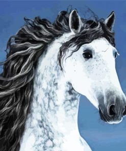 Beautiful Andalusian Horse paint by numbers