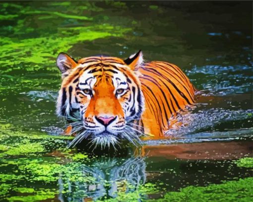 Bengal Tiger Swimming paint by numbers