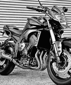 Black And White Yamaha FZ1 Fazer Paint By Number