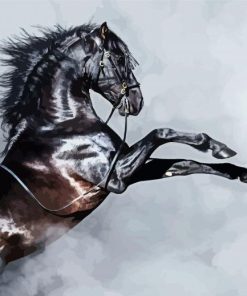 Black Andalusian Horse And Smoke Paint By Number