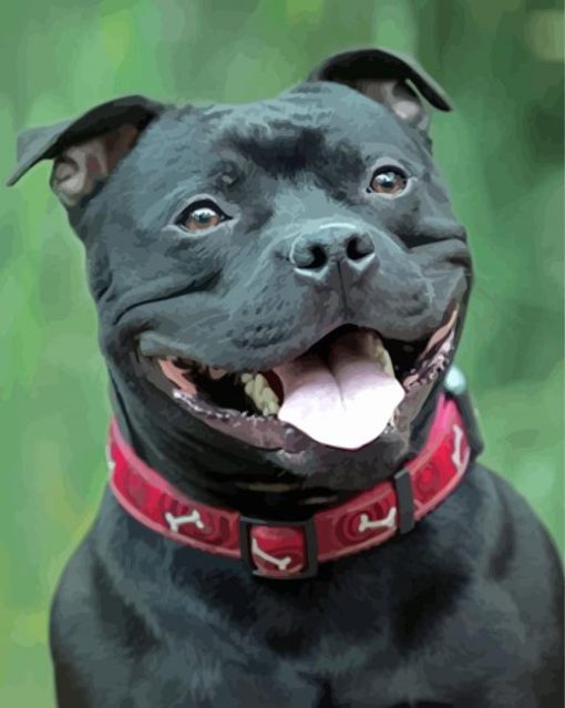 Black Staffordshire Bull Terrier Smiling Paint By Number