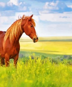 Brown Horse In Meadow Paint By Number