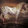 Brown Appaloosa Horse Art Paint By Number