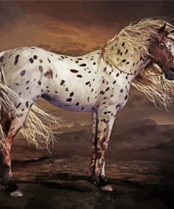 Brown Appaloosa Horse Art Paint By Number