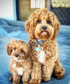 Cavoodle Dogs Paint By Number