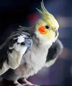 Cockatiel Bird Paint By Number