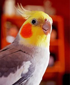 Cockatiel Paint By Number