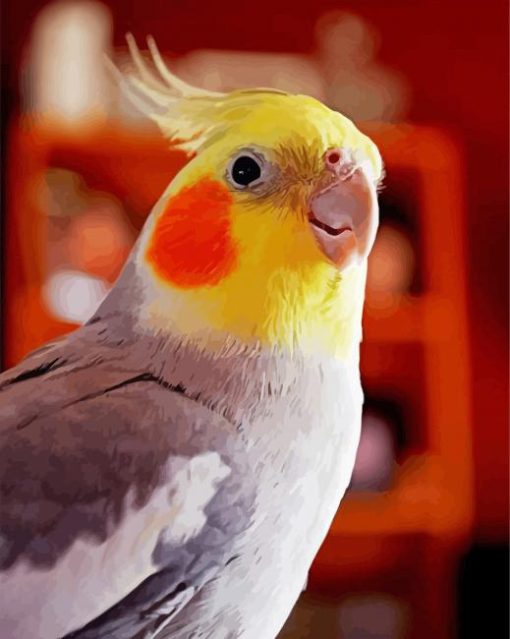 Cockatiel Paint By Number