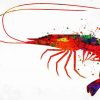 Colorful Shrimp Paint By Number