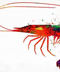 Colorful Shrimp Paint By Number