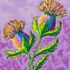 Colorful Thistles Paint By Number