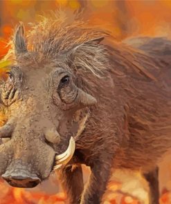 Common warthog paint by numbers