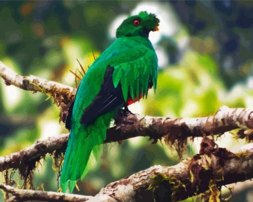 Crested Quetzal Bird on Branch paint by numbers