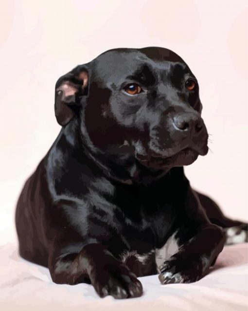 Dark Black Staffordshire Bull Terrier paint by numbers