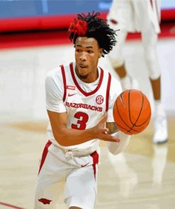 Desi Sills Arkansas Razorbacks Men S Basketballer paint by numbers