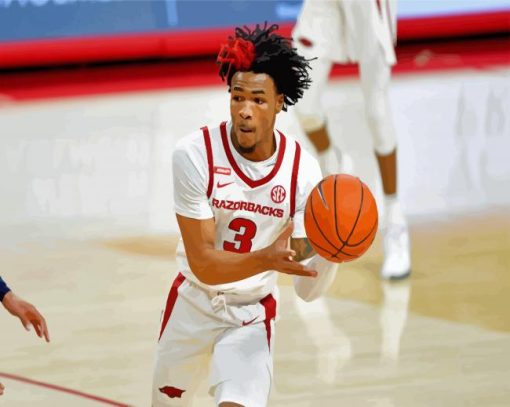 Desi Sills Arkansas Razorbacks Men S Basketballer paint by numbers