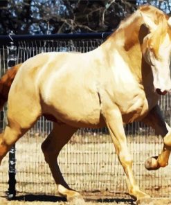 Golden Andalusian Horse paint by numbers