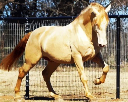 Golden Andalusian Horse paint by numbers