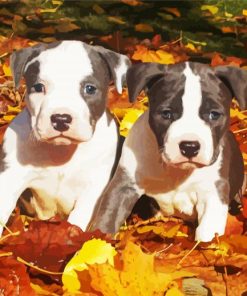 Gray American Staffordshire Terrier Paint By Number