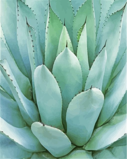 Green Agave Plant Paint By Number