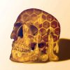 Honey Skull Head paint by numbers