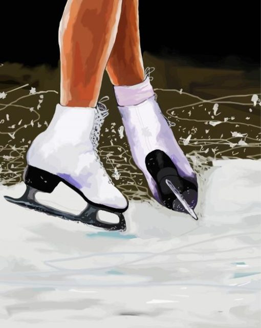 Ice Skate paint by numbers