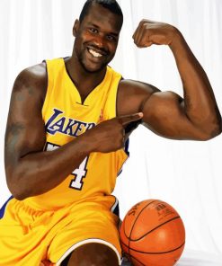 Lakers Shaquille paint by numbers