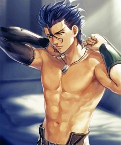 Lancer Fate Zero Anime paint by numbers