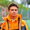 Lando Norris paint by numbers