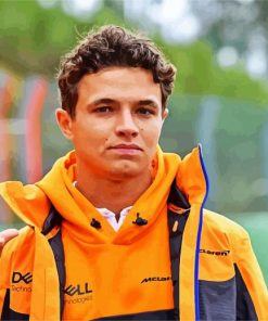 Lando Norris paint by numbers