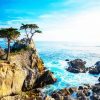 Monterey Lone Cypress Monterey paint by numbers