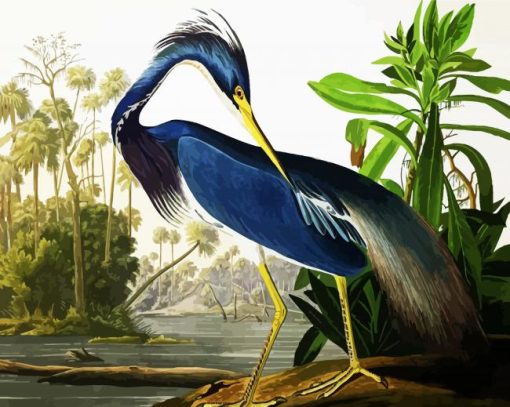 Louisiana Heron by John James Audubon paint by numbers