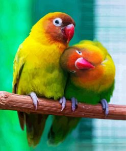 Lovebirds Birds Paint By Number