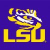 Lsu paint by numbers