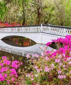 Magnolia Plantation and Gardens Charleston paint by numbers