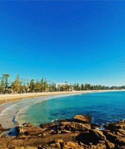 Manly Beach Paint By Number