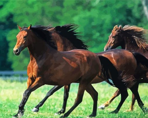 Morgan Horses Herd paint by numbers