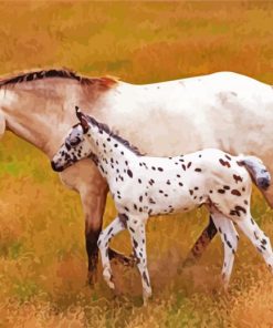 Mother And Baby Appaloosa Paint By Number