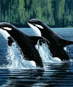 Mother and Son Orca paint by numbers