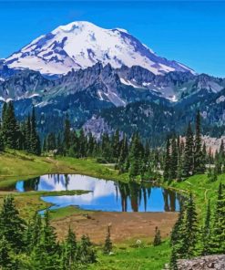 Mount Rainier Washington paint by numbers