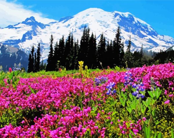 Mt Rainier Paint By Number