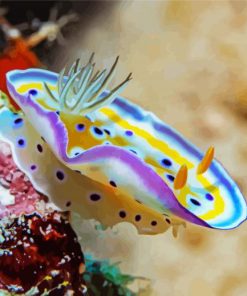 Nudibranch paint by numbers