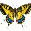 Old World Swallowtail Butterfly paint by numbers