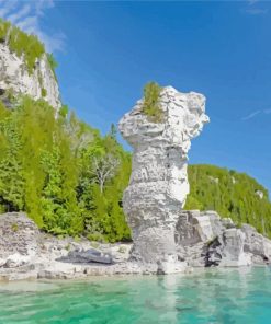 Ontario Flowerpot Island paint by numbers