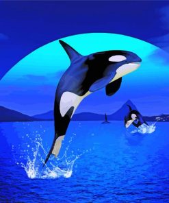 Orca Jumping paint by numbers