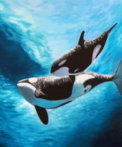 Orca Underwater paint by numbers