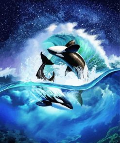 Orcas Wave paint by numbers