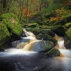 Padley Gorge Sheffield paint by numbers